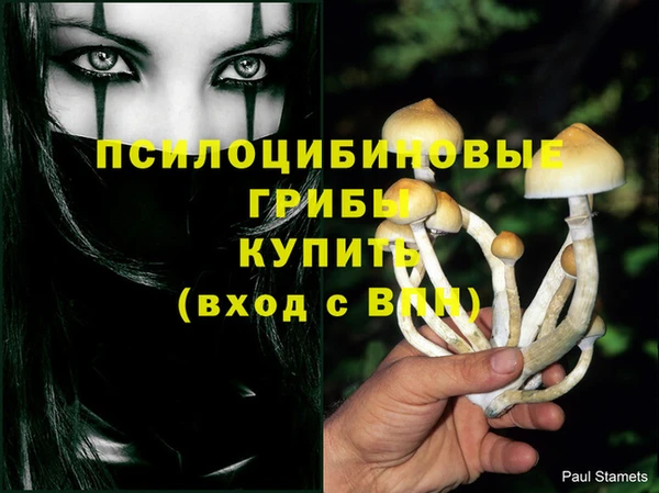 mix Карпинск